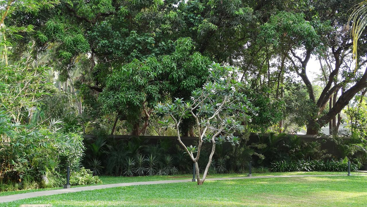 Andores Resort And Spa - كالانغيُت المظهر الخارجي الصورة
